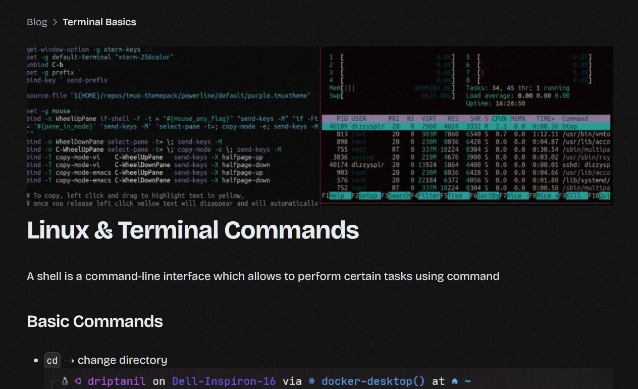 Terminal Basics